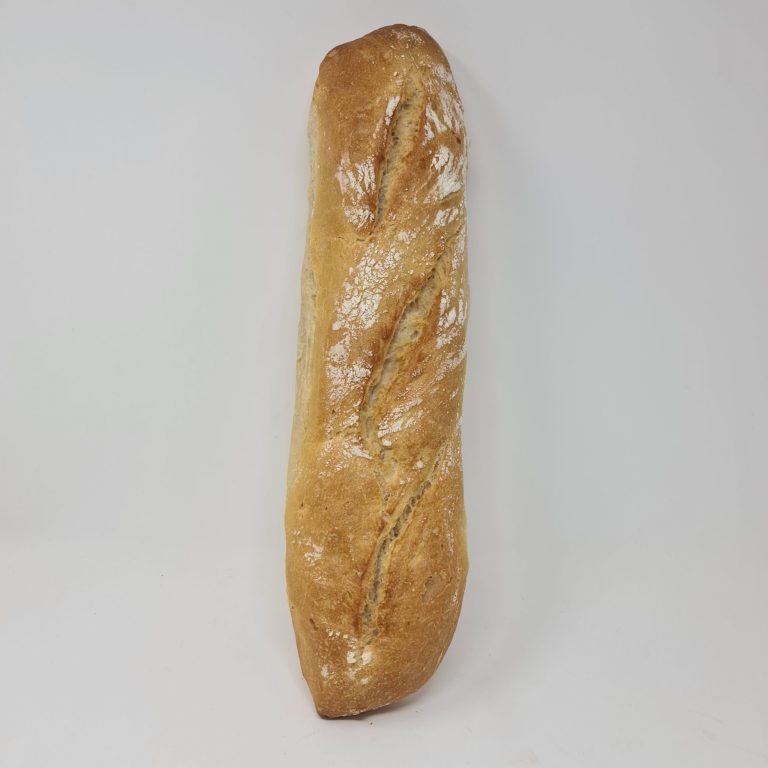 20230728_185634-scaled