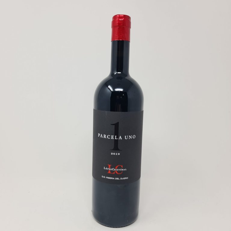 20230729_101716-scaled